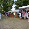 Falunap 2017